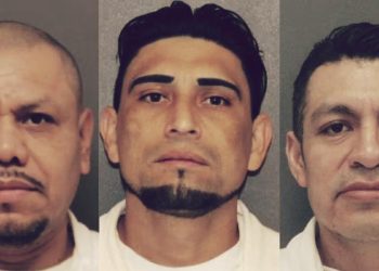 Illegal Alien Child Sex Offenders