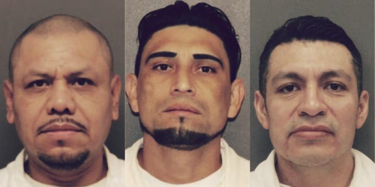 Illegal Alien Child Sex Offenders