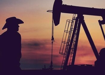 Texas Petroleum Investment