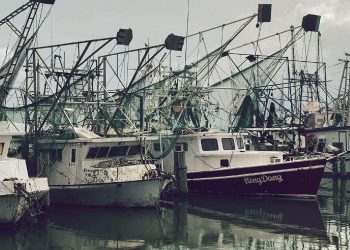 Save Our Shrimpers