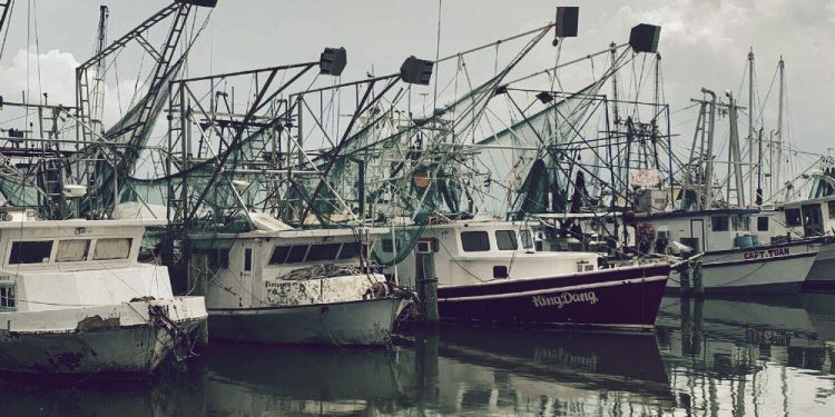 Save Our Shrimpers