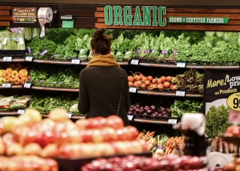 Food Prices Predicted to Increase 1.9 Percent in 2025: USDA